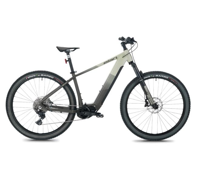 Mountain E-Bike